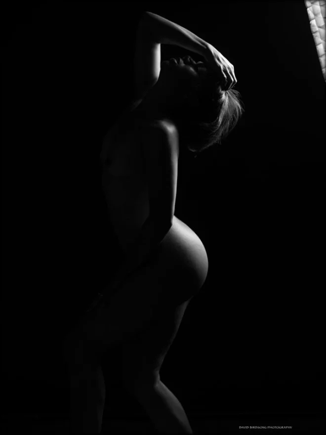 modelsociety elane leak