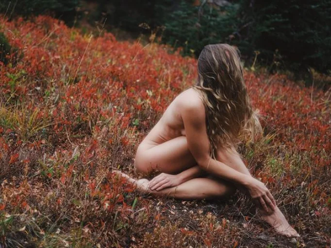 elizabethexpresses instagram videos