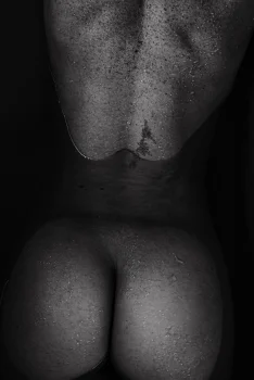 failtsilhouettes ? latest upload
