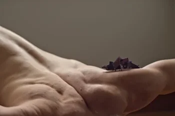 modelsociety keira grant videos