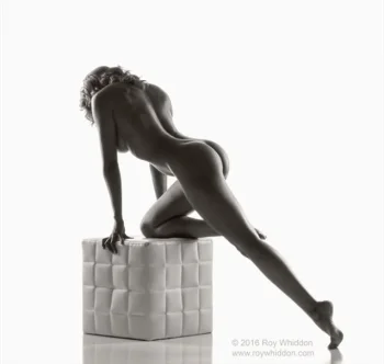 modelsociety stmerrique nude photo