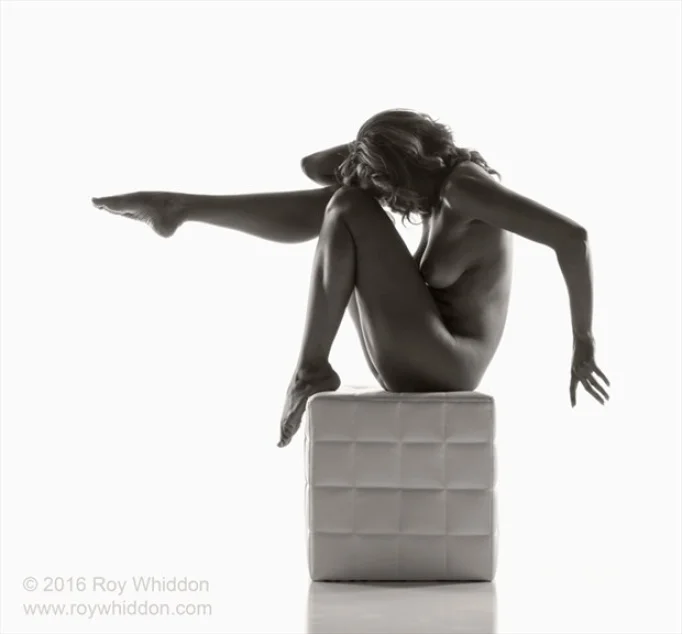 modelsociety stmerrique nude photo