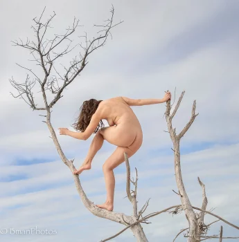 modelsociety whitney masters tits