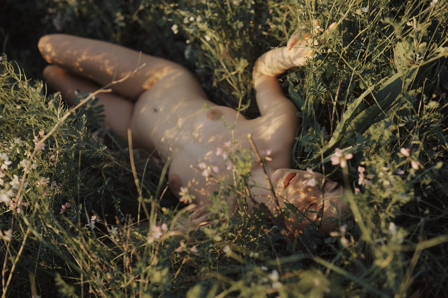 tanja asmodeus nude photo