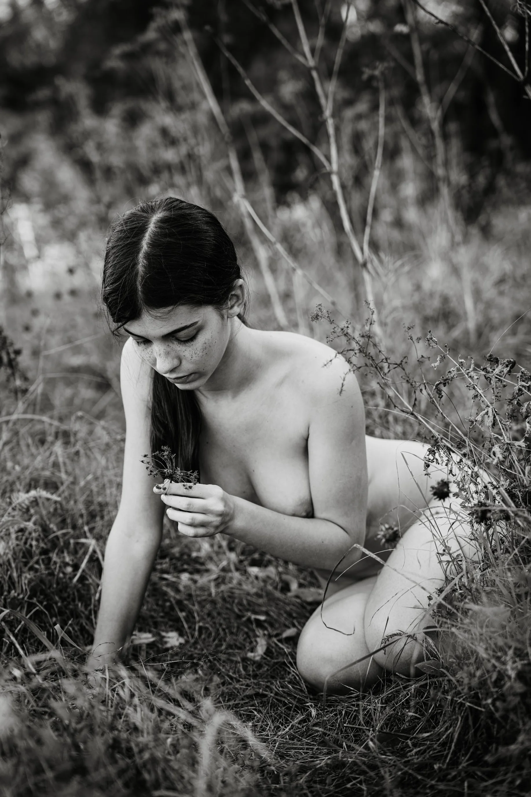 tanja asmodeus tits