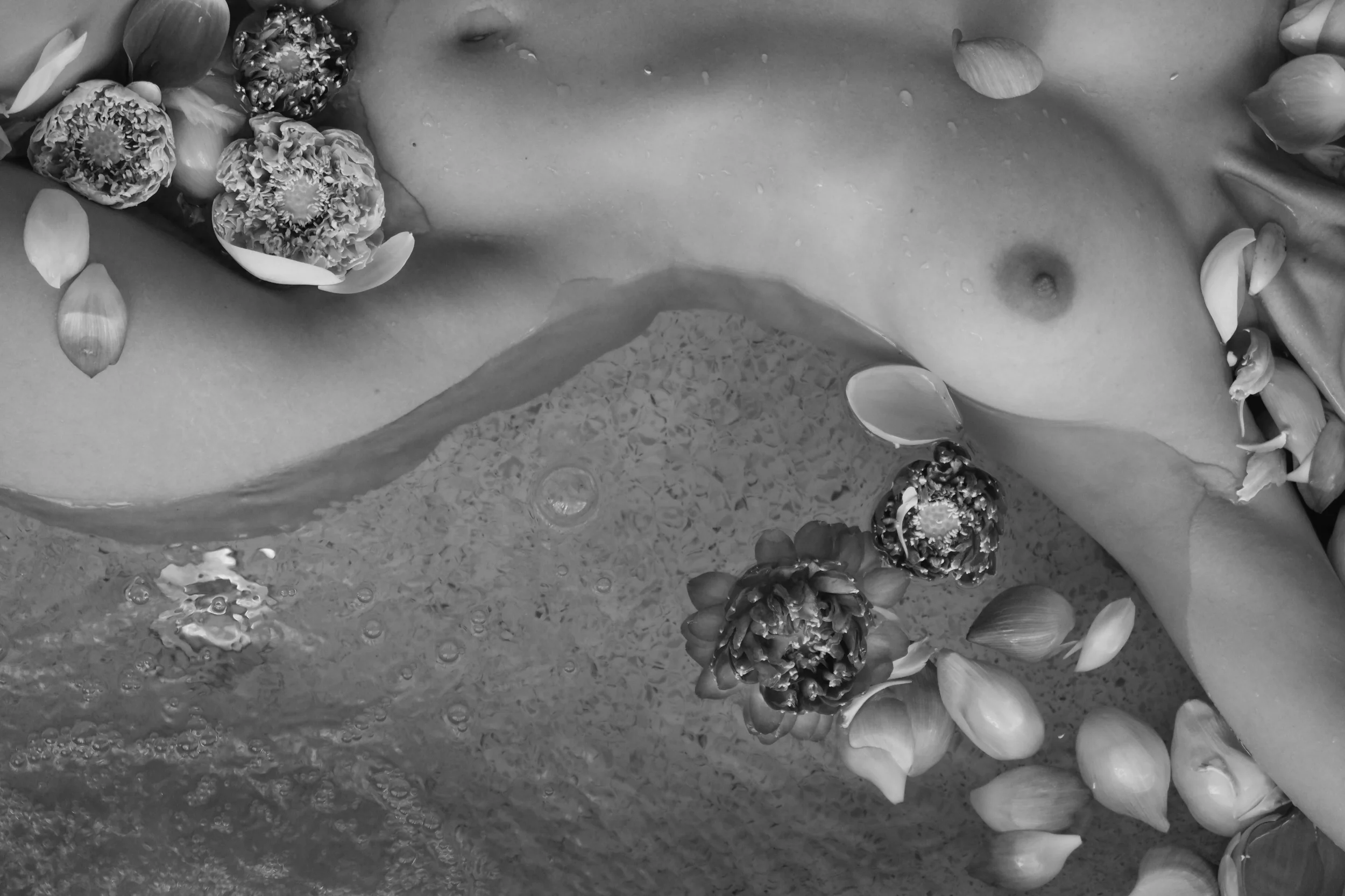 kate evans full naked