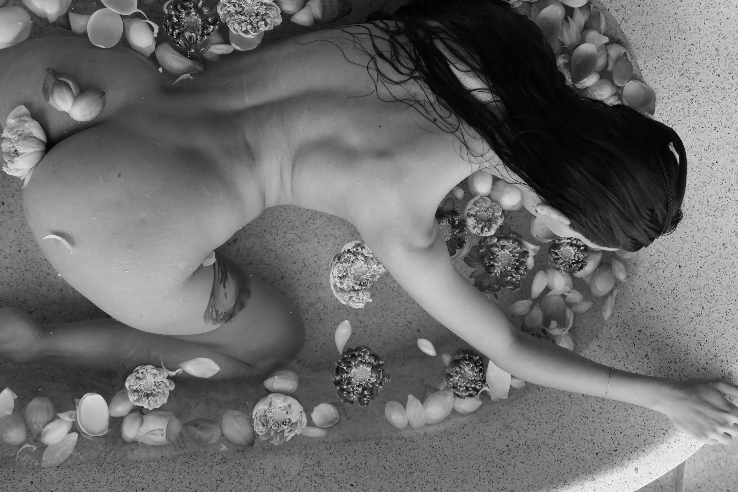 kate evans full nude