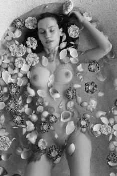 Kate Evans — latest upload