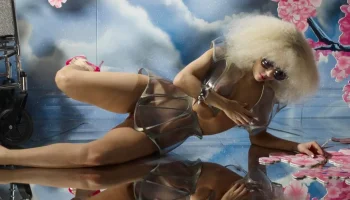 lady gaga flashing