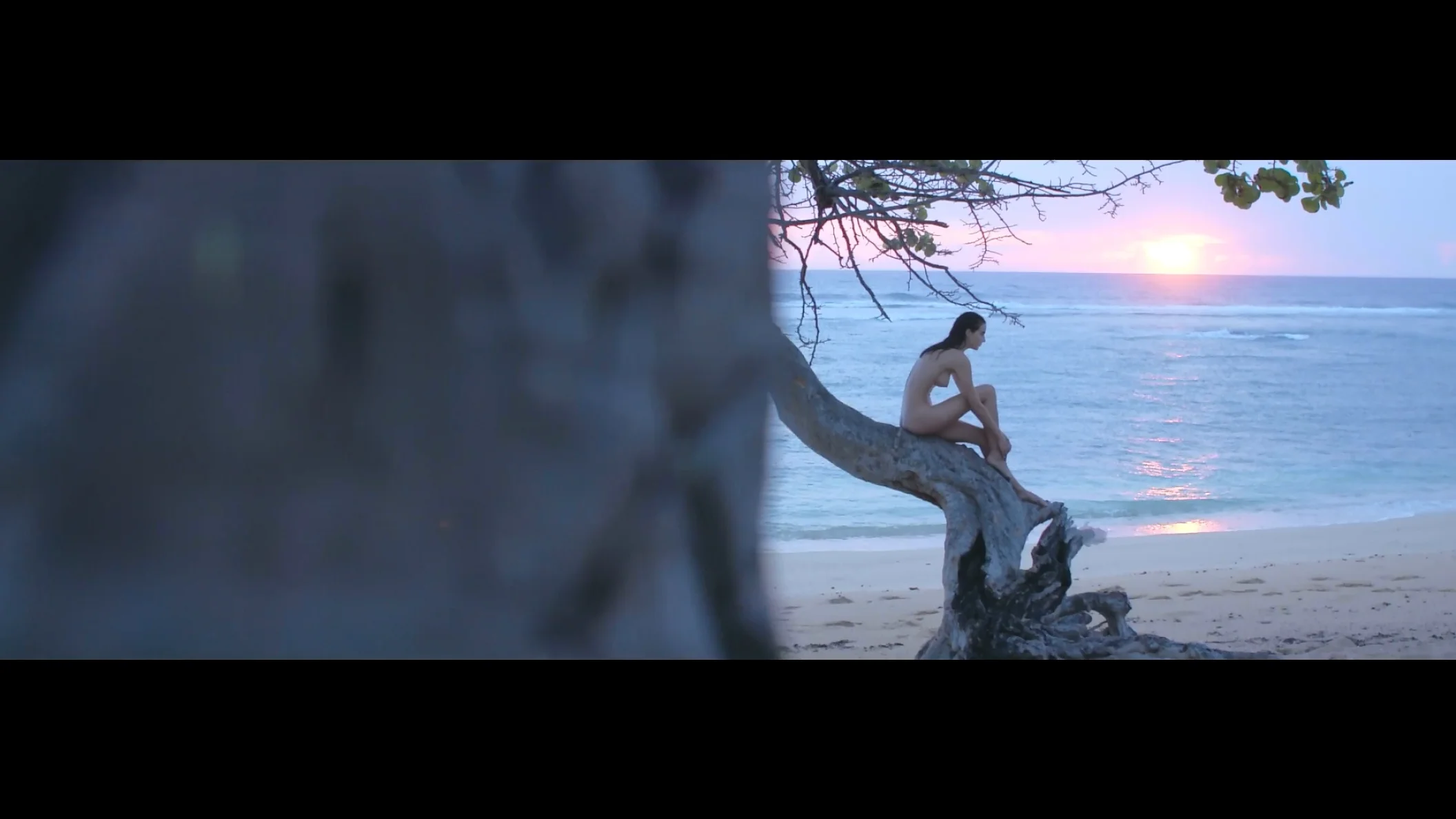 rachel cook patreon