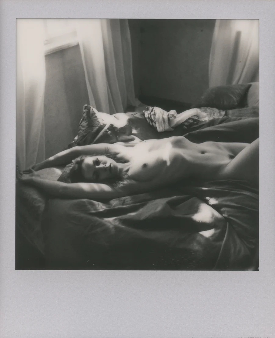 sophielasageofficial onlyfans leak