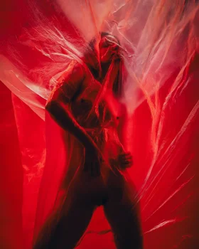 Crimson Veil — gallery cover