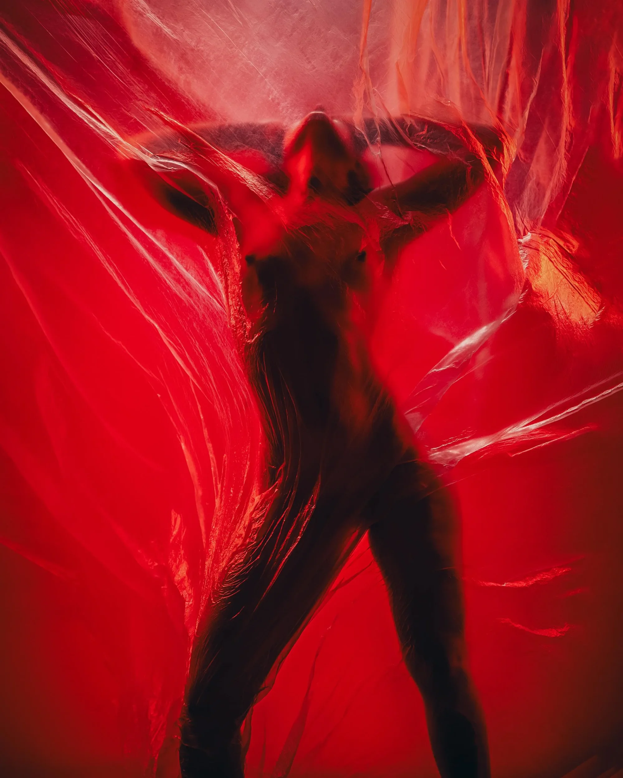 crimson veil photos