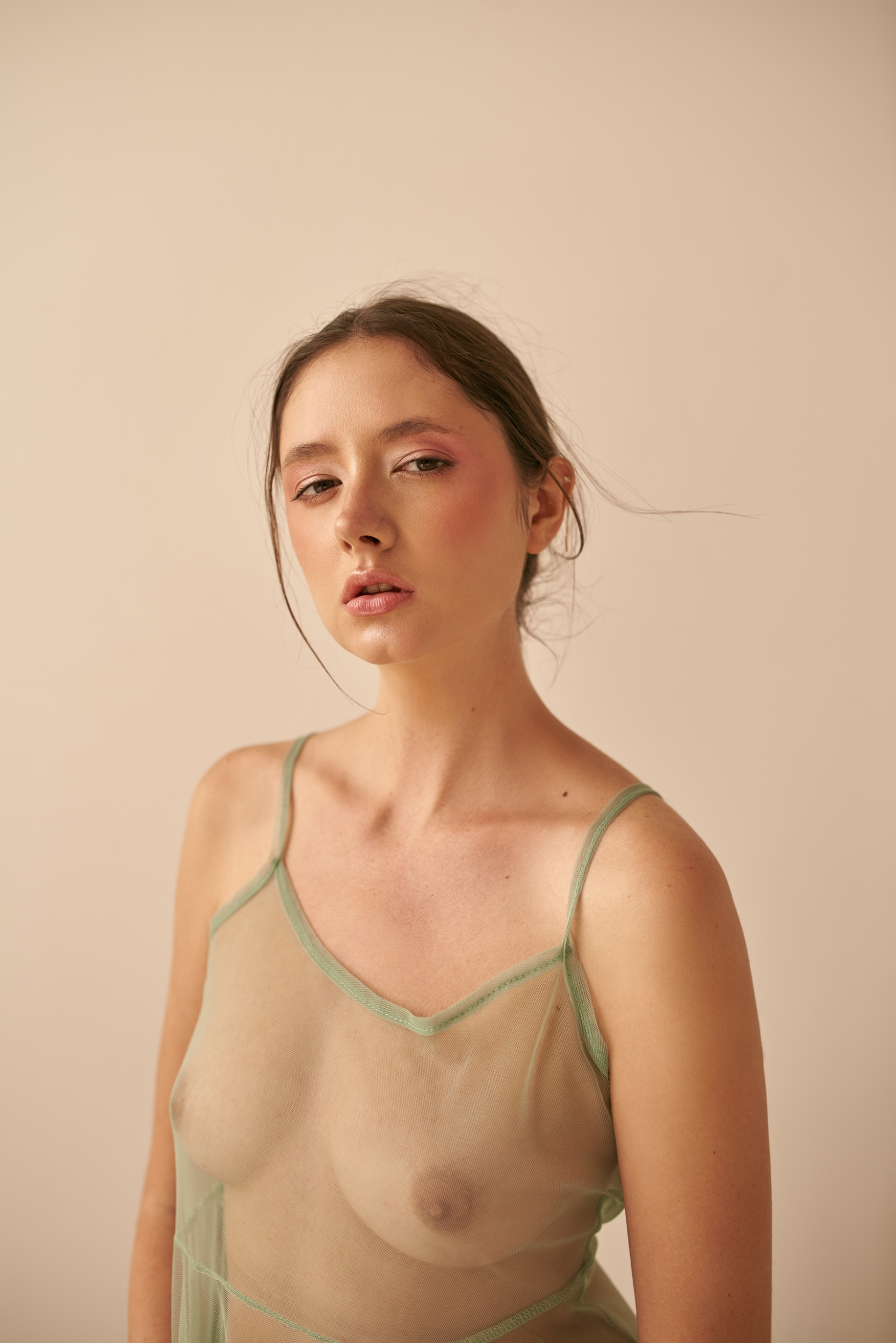 diana shemetova porn