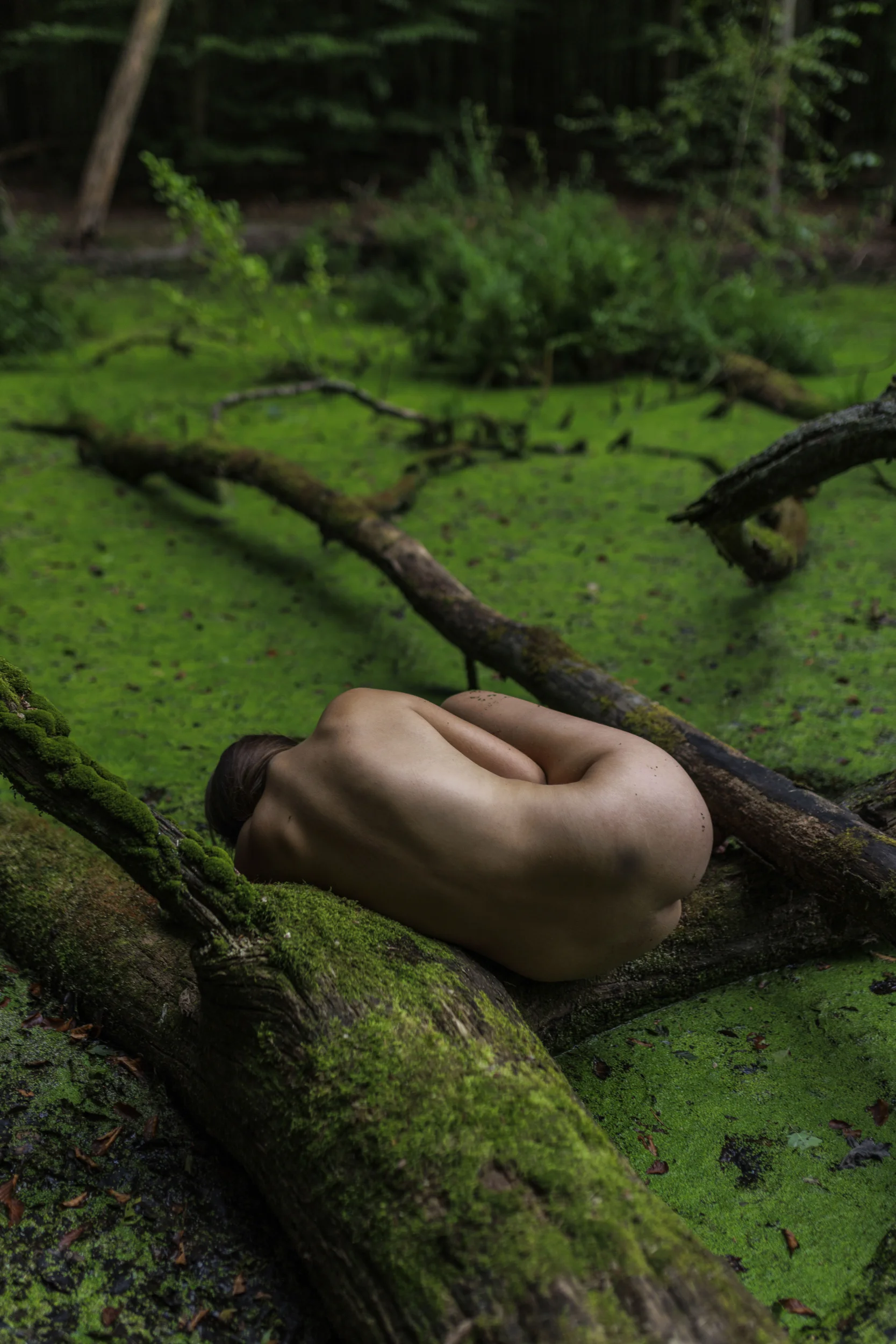 mihaylovajpg nude photos