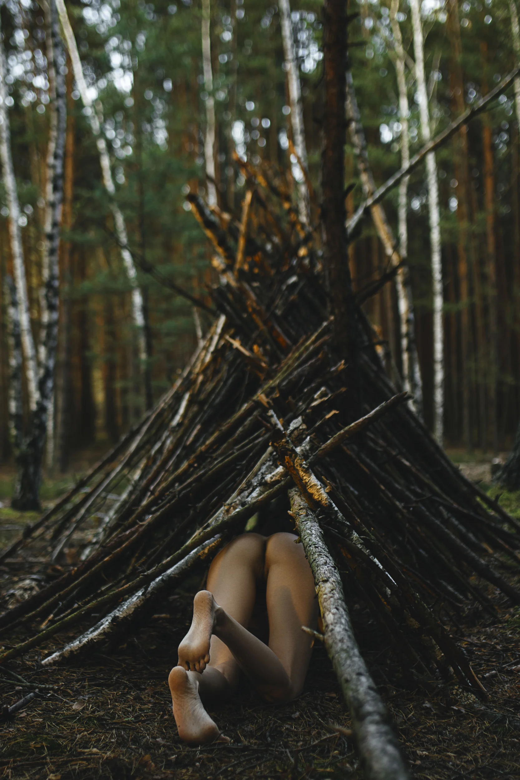 mihaylovajpg nude