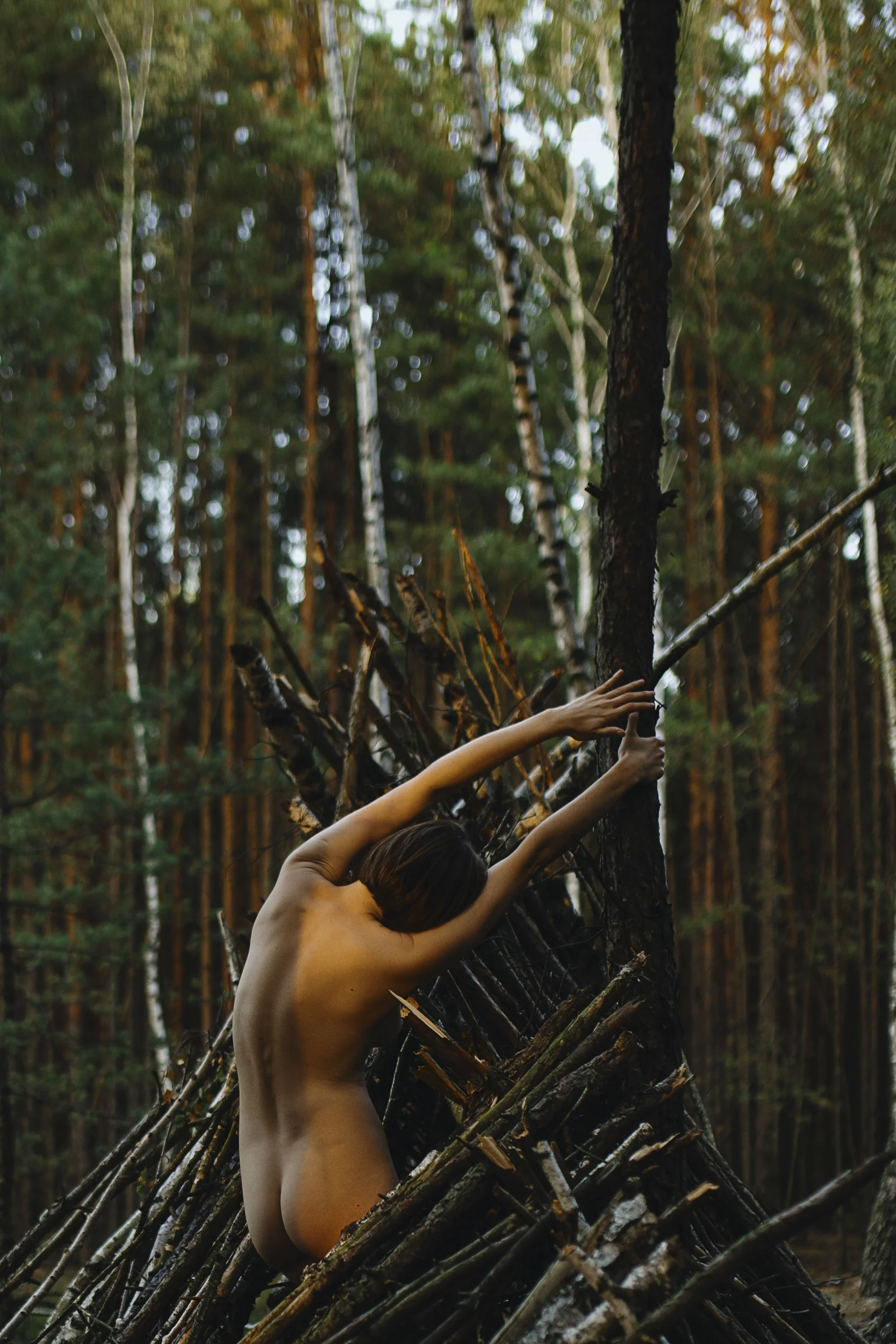 mihaylovajpg nude