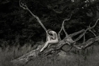Ivory Flame — photo 2