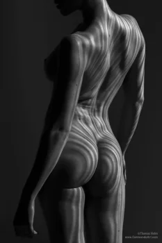 modelsociety jasmine sundstrm nude photo