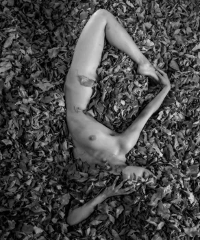 Mauvais ? latest upload