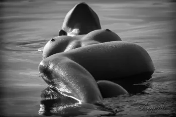Melancholic ? latest upload