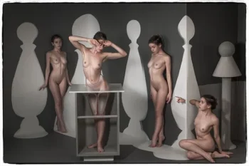 modelsociety melancholic tits