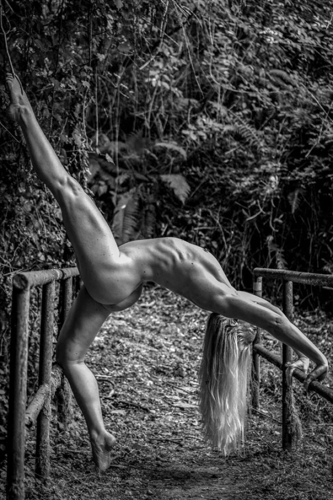 melissasvejda patreon