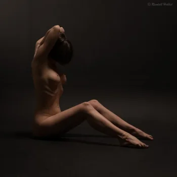 Nymfaea ? latest upload