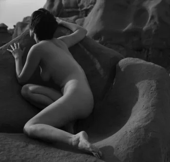 Nymfaea ? latest upload