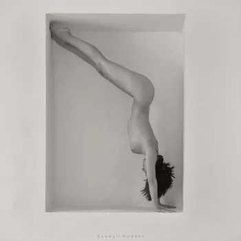 Nymfaea ? latest upload