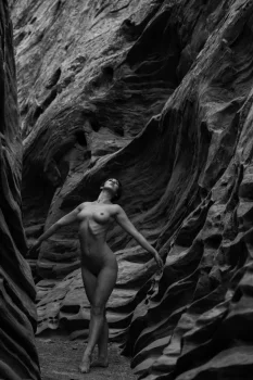 Nymfaea — photo 2