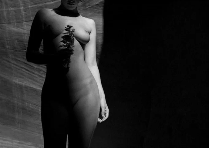 modelsociety nymfaea pussy