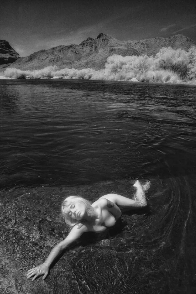 modelsociety plush ass