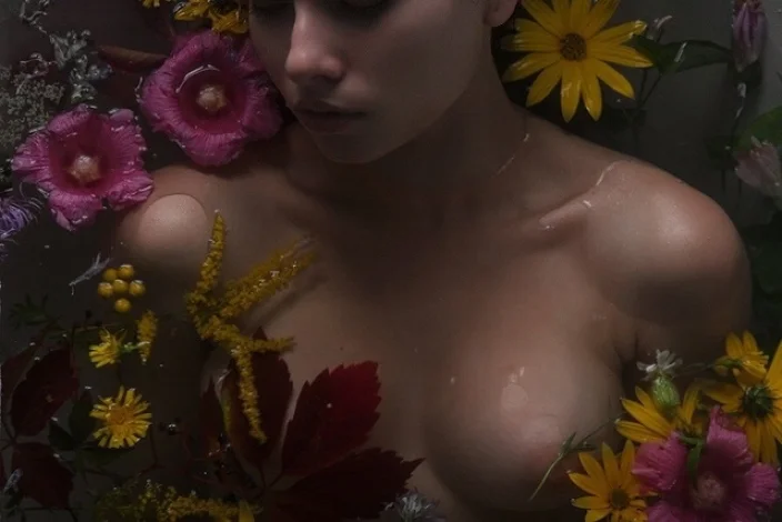 ansy q lingerie