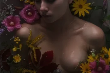 ansy q lingerie